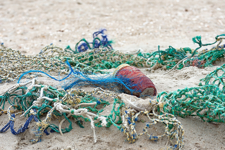 Strandgut