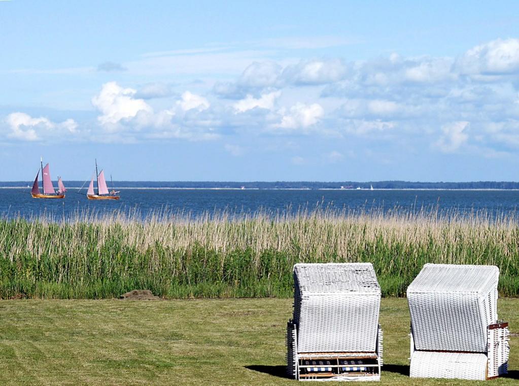 Strandkörbe bei Ahrenshoop