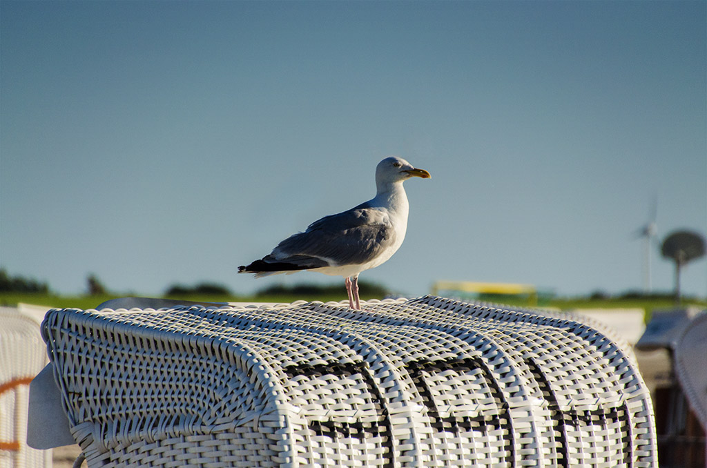 strandkorb
