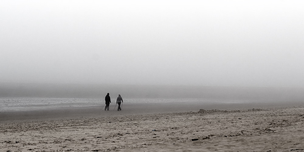 strandläufer