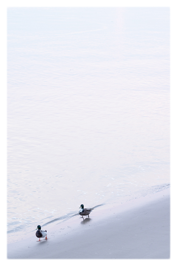 Strandspaziergang