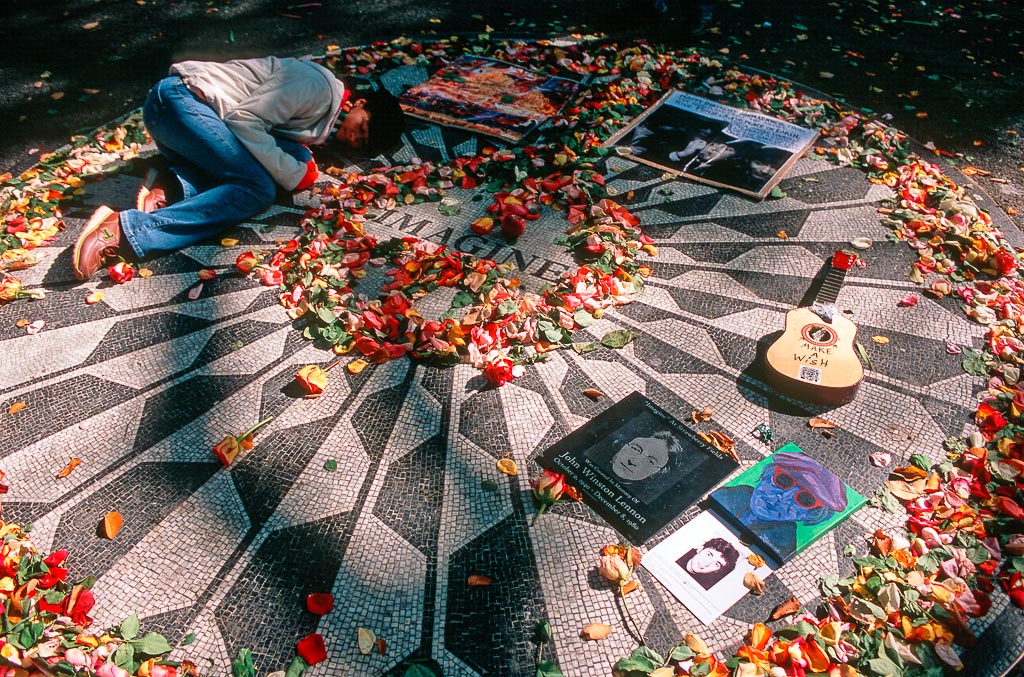 Strawberry fields 2