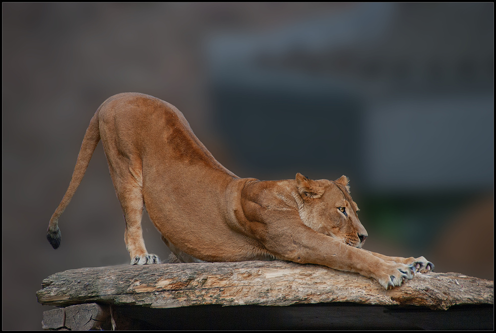 Stretching