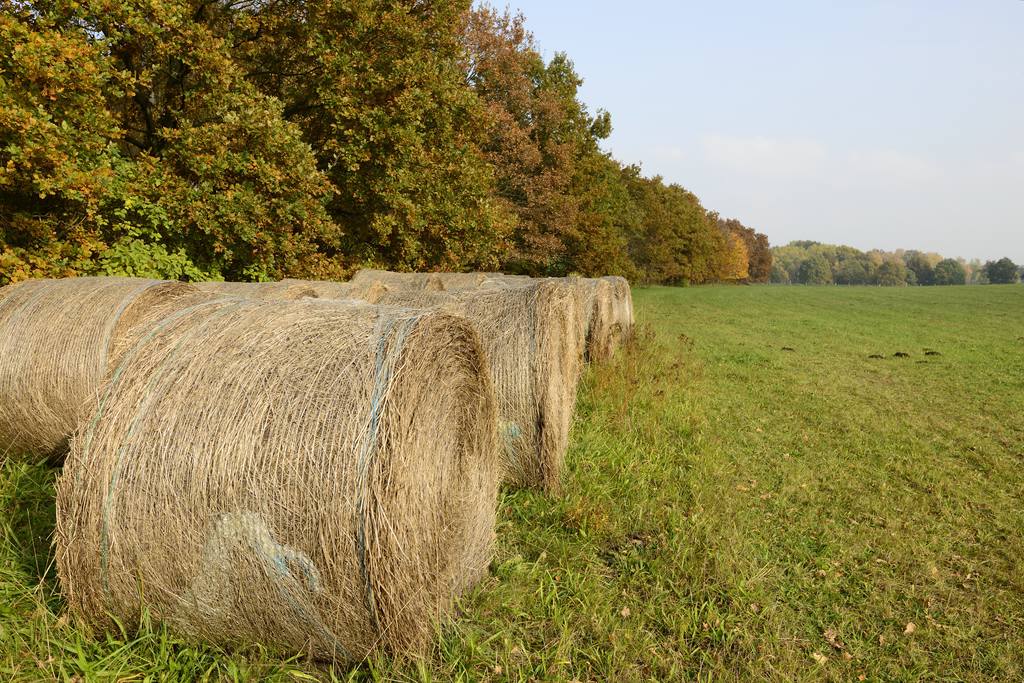 Strohballen im Herbst