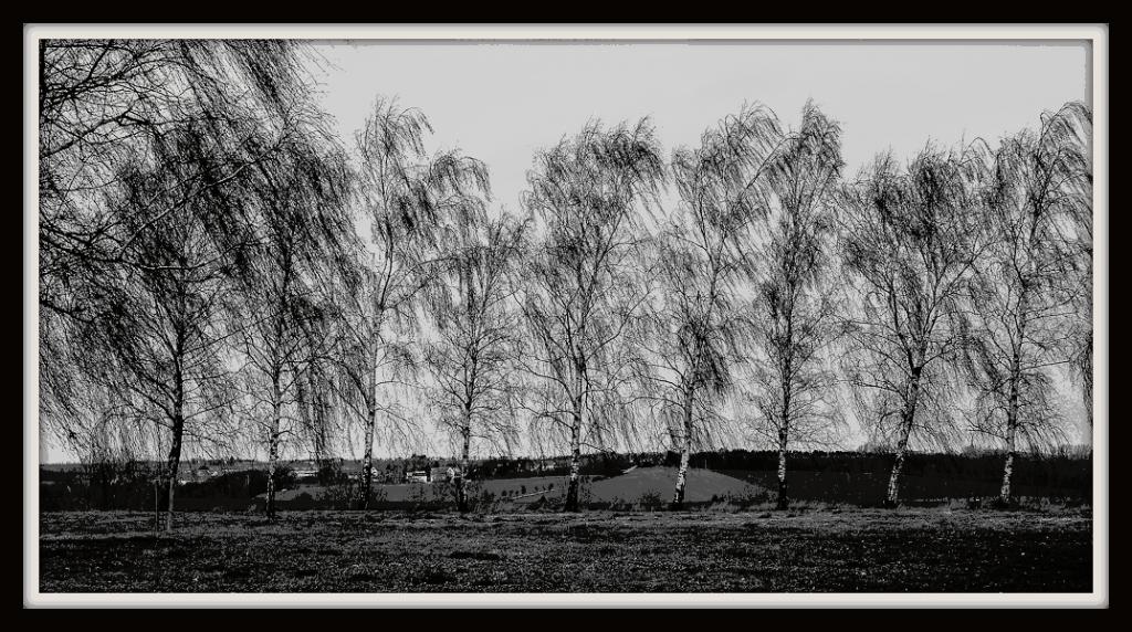 Sturm