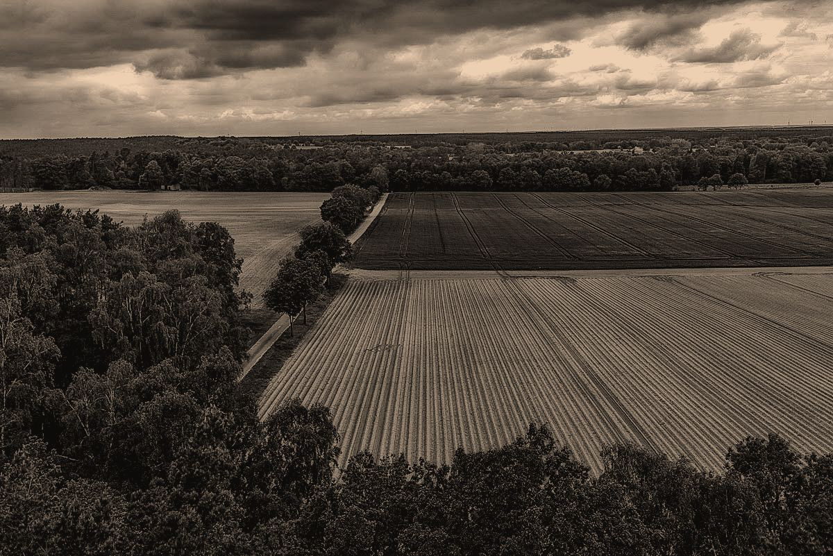 Suderburger Land 4.jpg