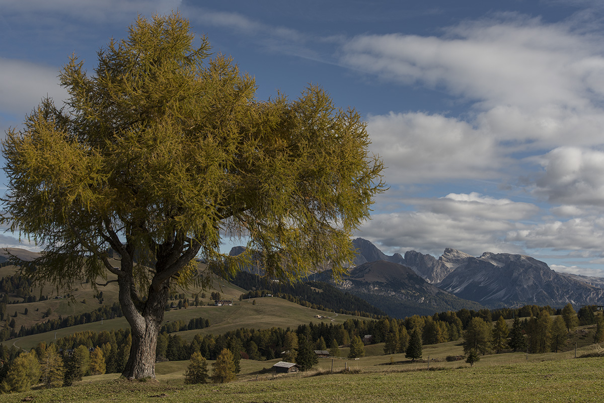 suedtirol 04