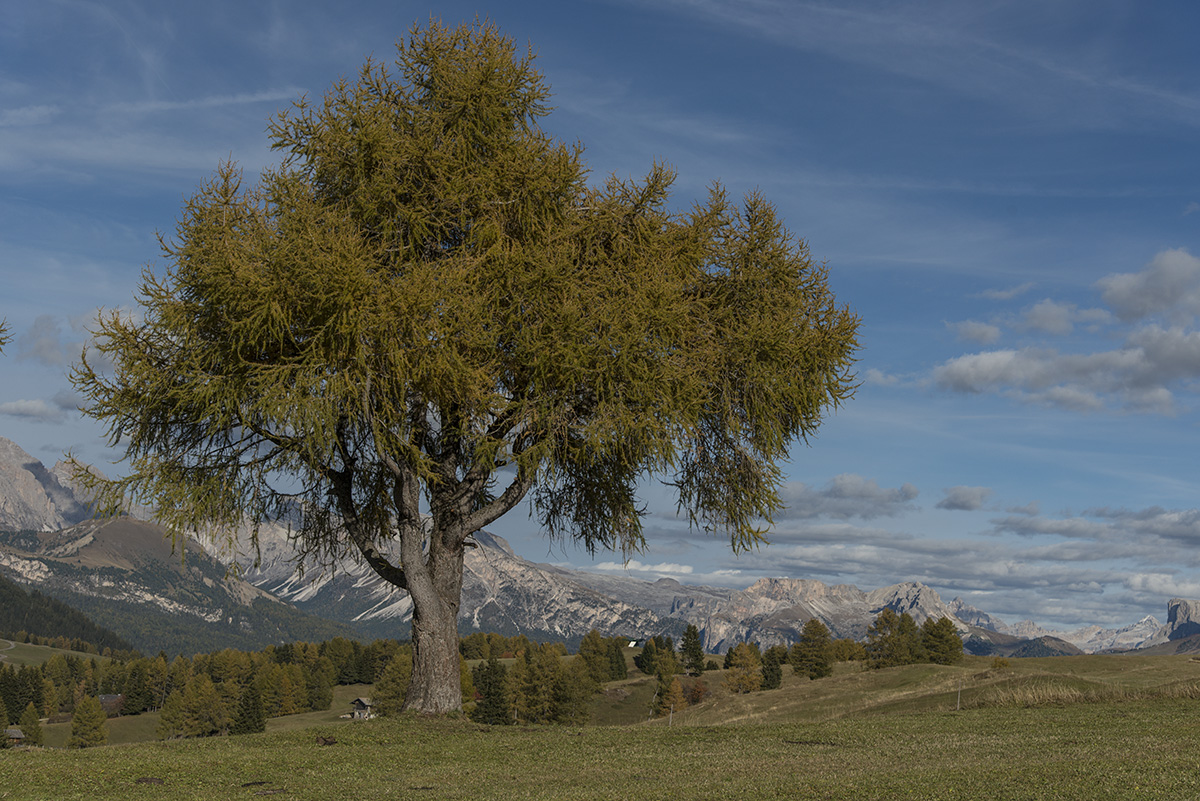 suedtirol 08