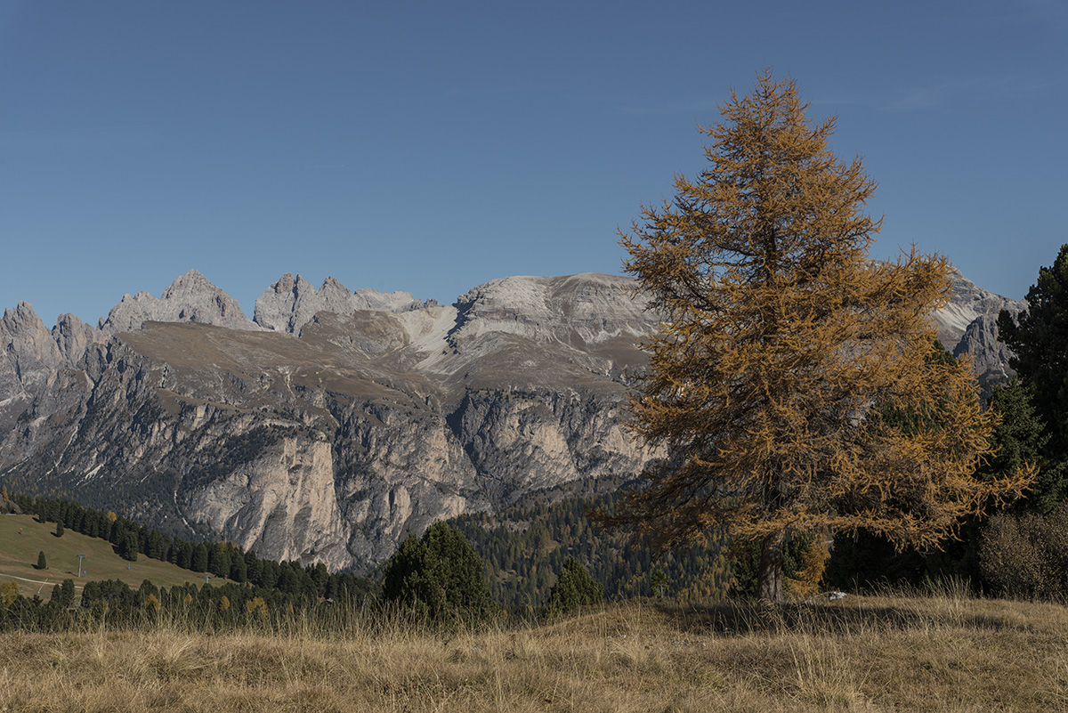 suedtirol 11
