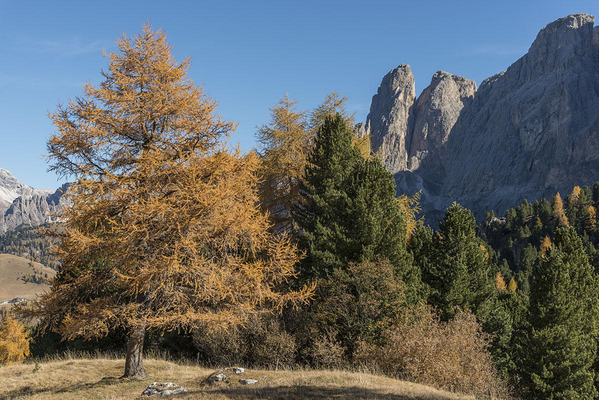 suedtirol 12