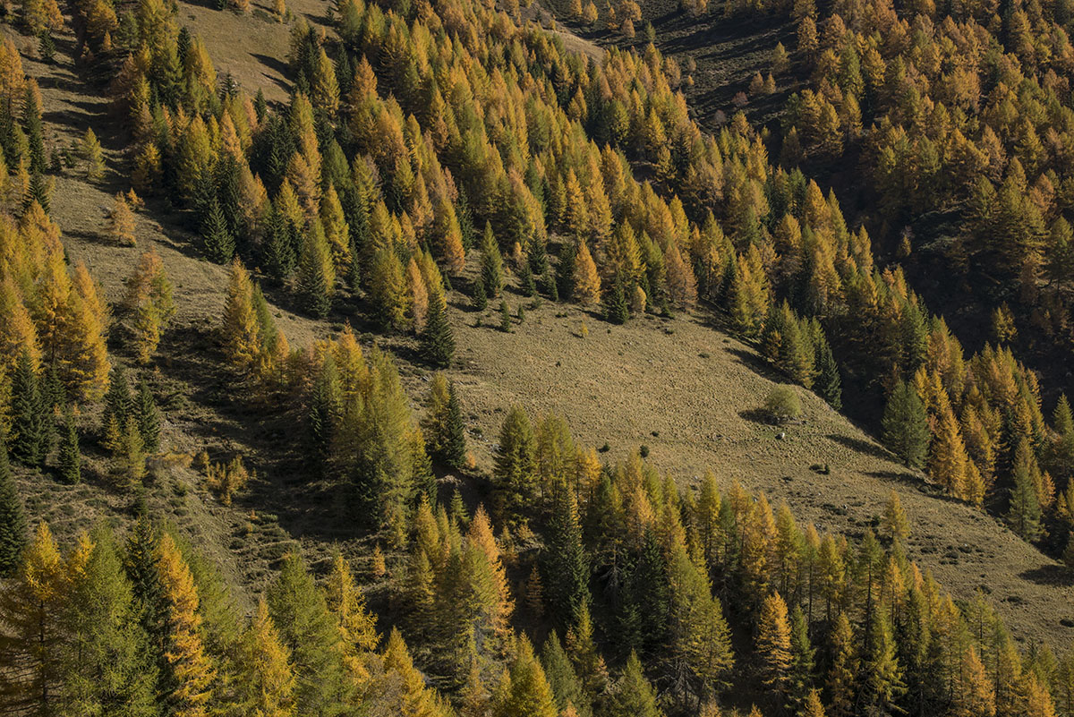suedtirol 14