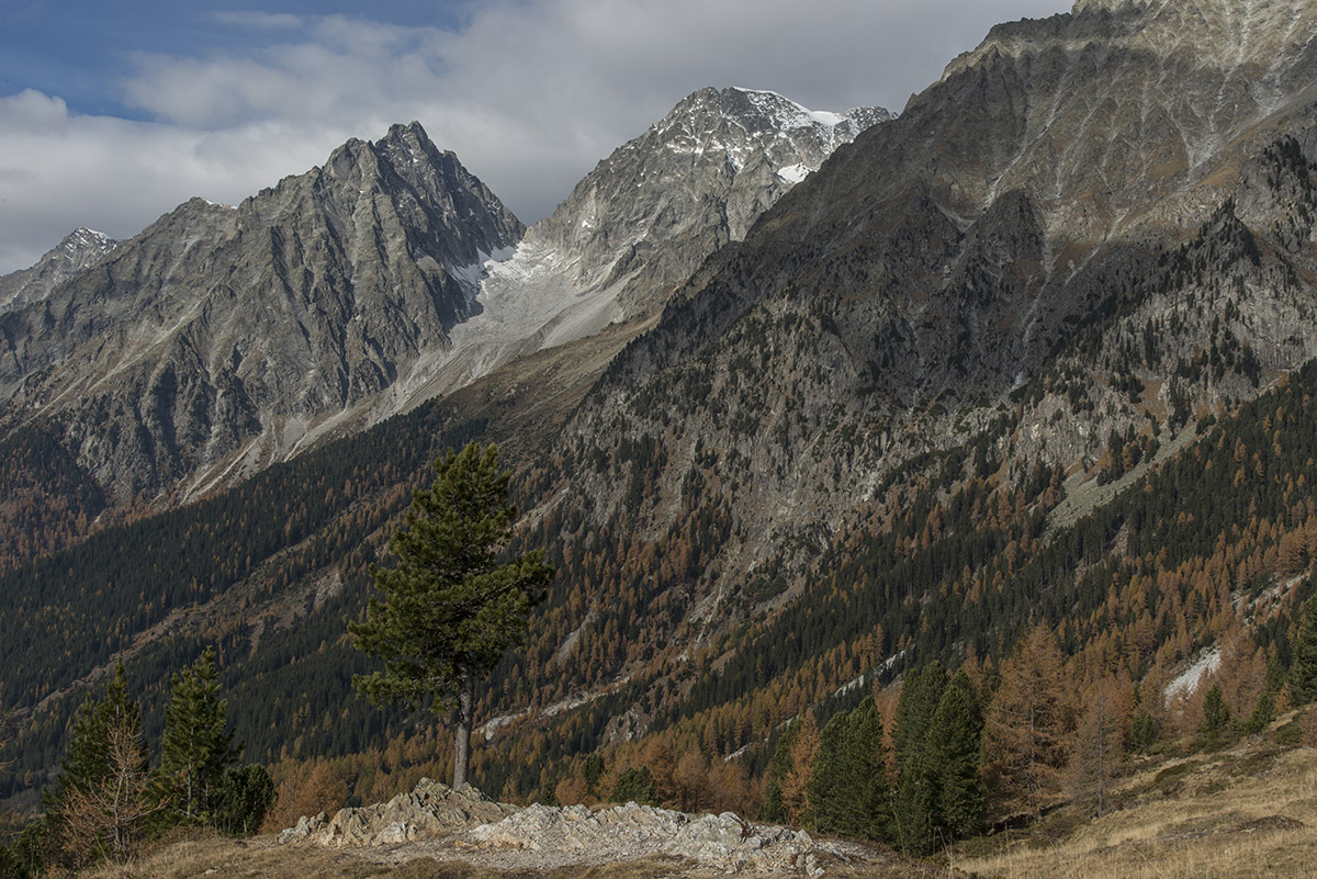 suedtirol 20