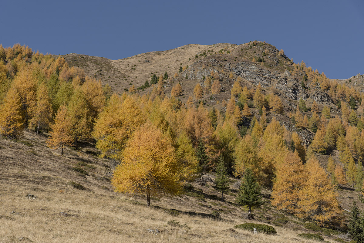 suedtirol 22