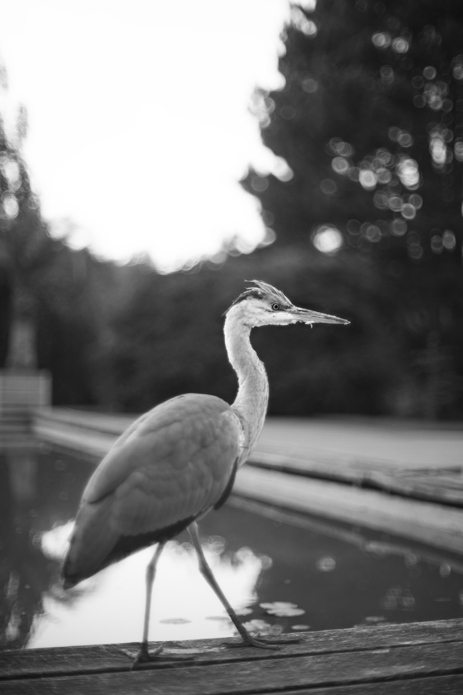 summer11