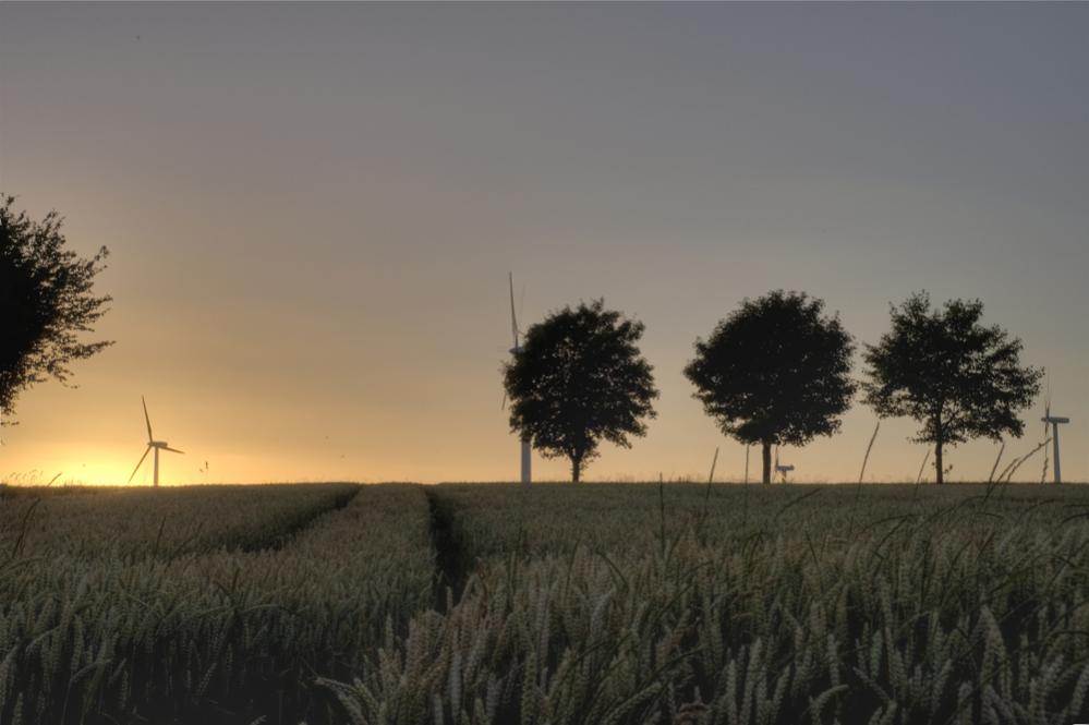 sun