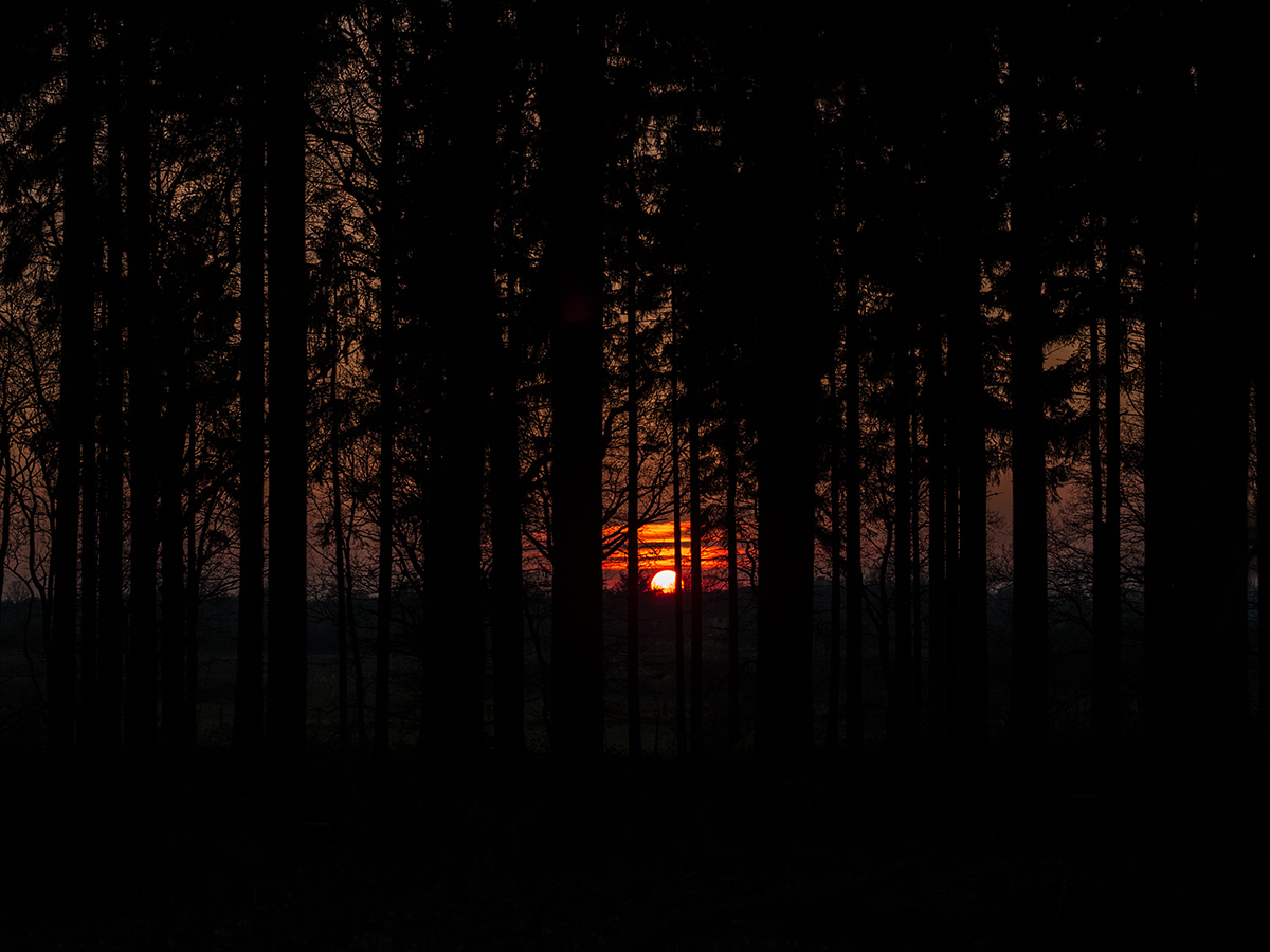 Sundown P3120096
