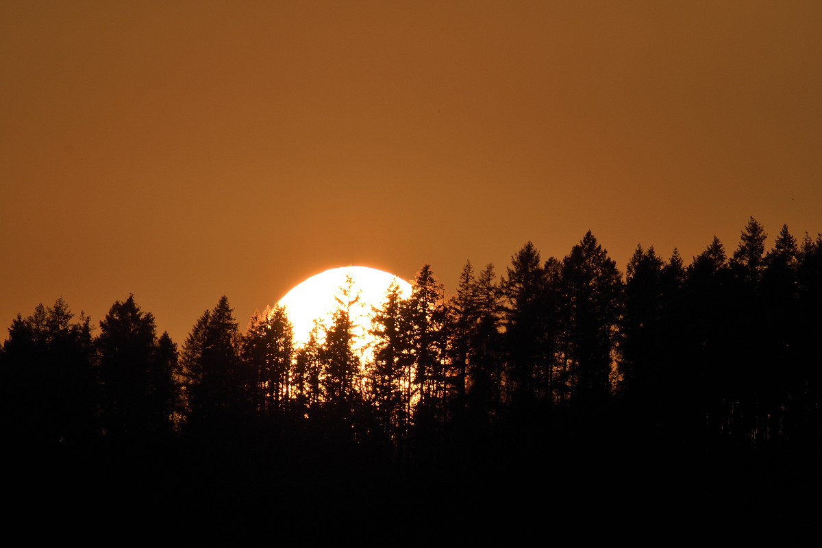 sundown3_00001sundown2_00001DSC_1567.jpg