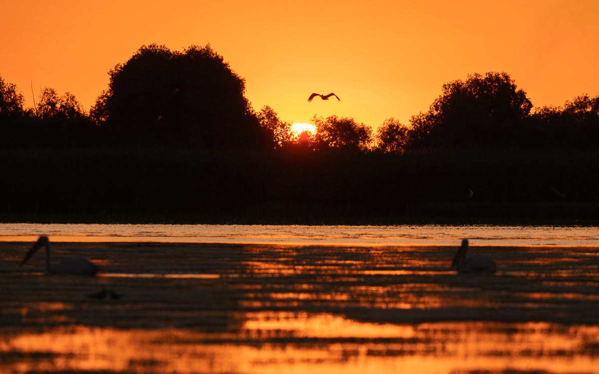 SunriseDonaudelta.jpg
