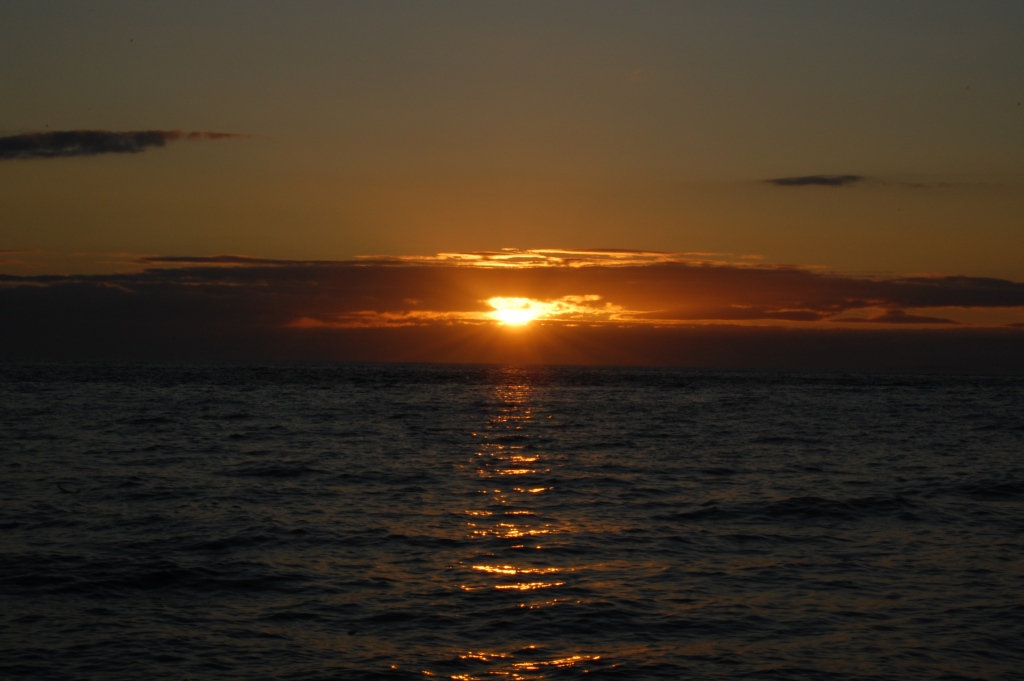 Sunset
Coromandel, Neuseeland
ISO 200 - 55mm - F32 - 1/60s