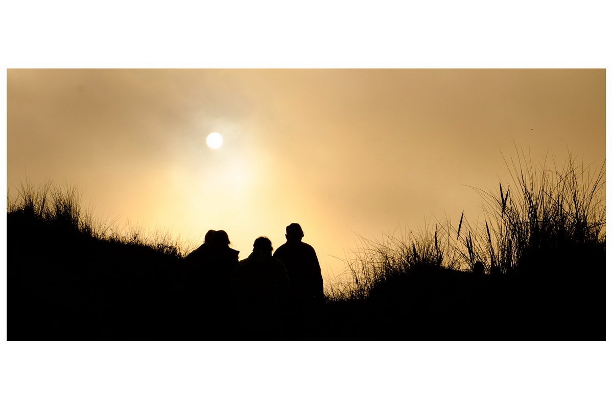Sunshine1