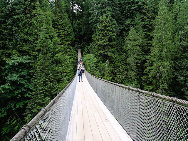 Suspension Bridge Vancouver