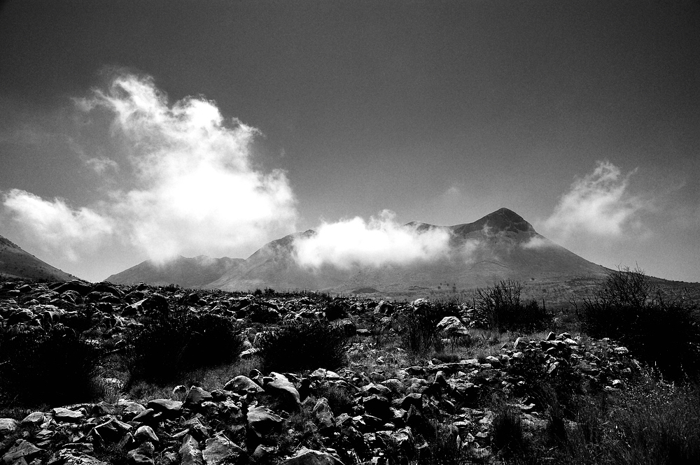 sw berg