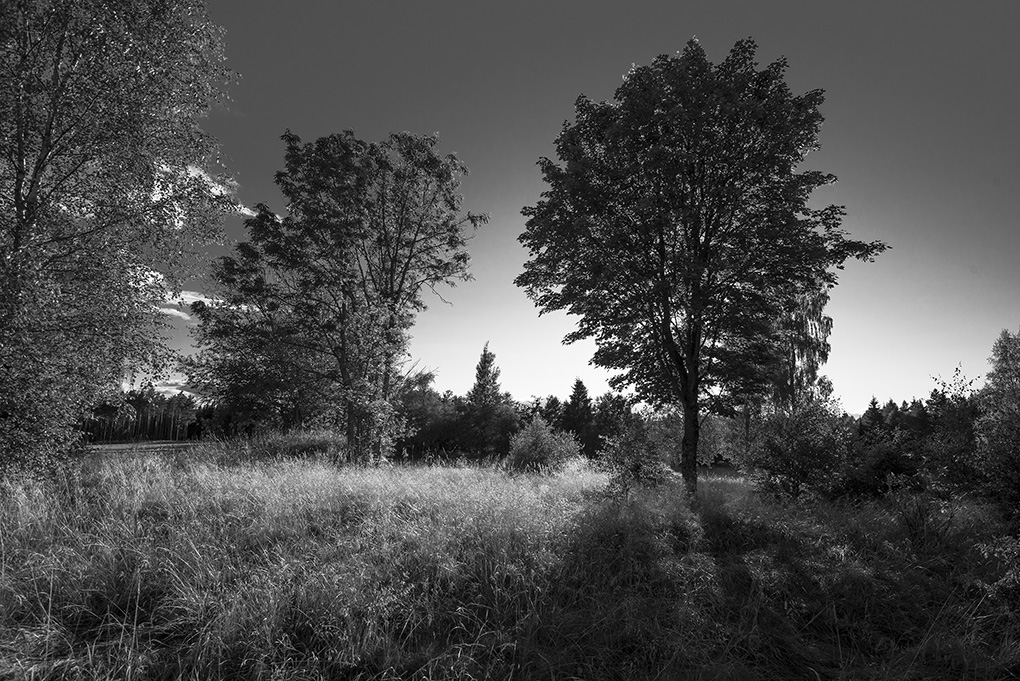 sw natur2