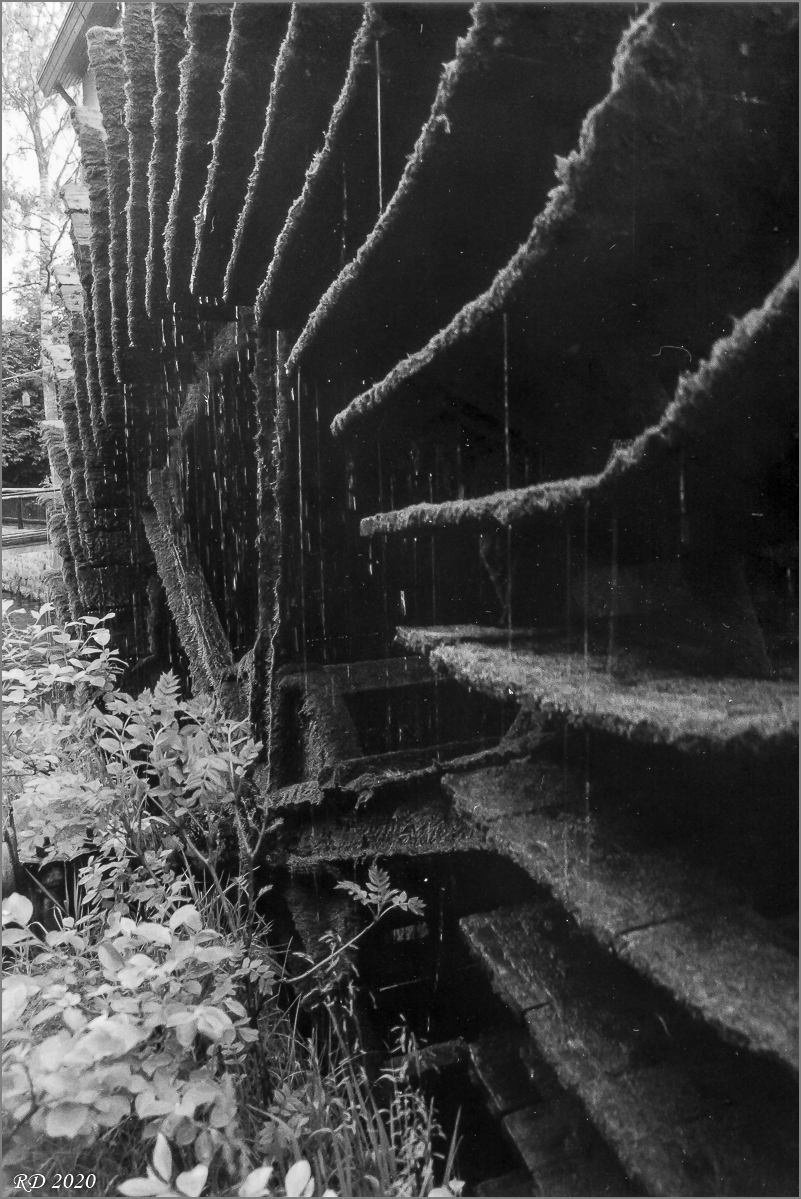 SW-Scan001.jpg