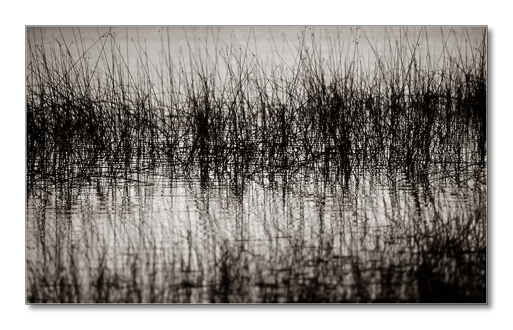 sw schwedensee1