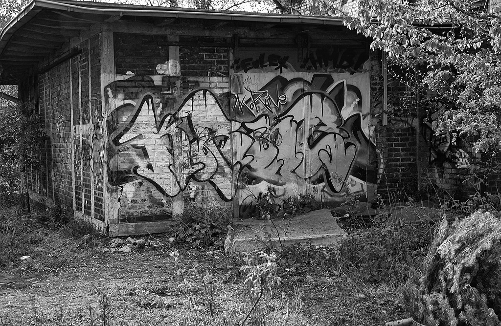SWDSC 0646sw
