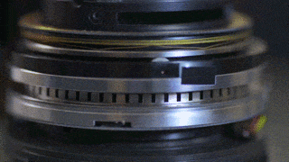 SWM-2.gif