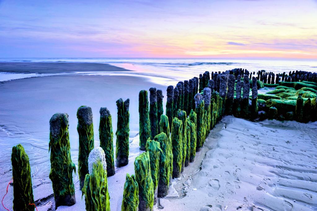 Sylt 03