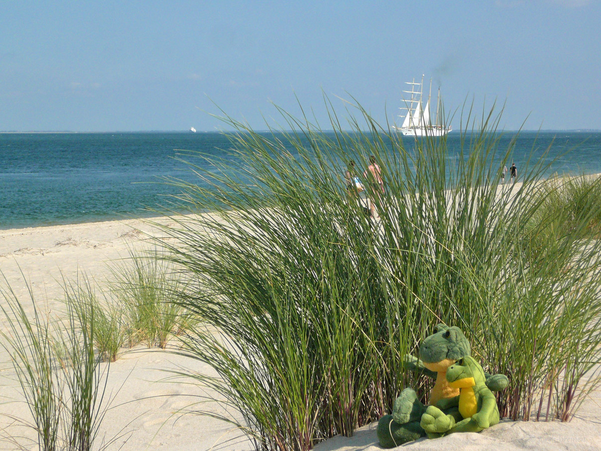 Sylt Sand