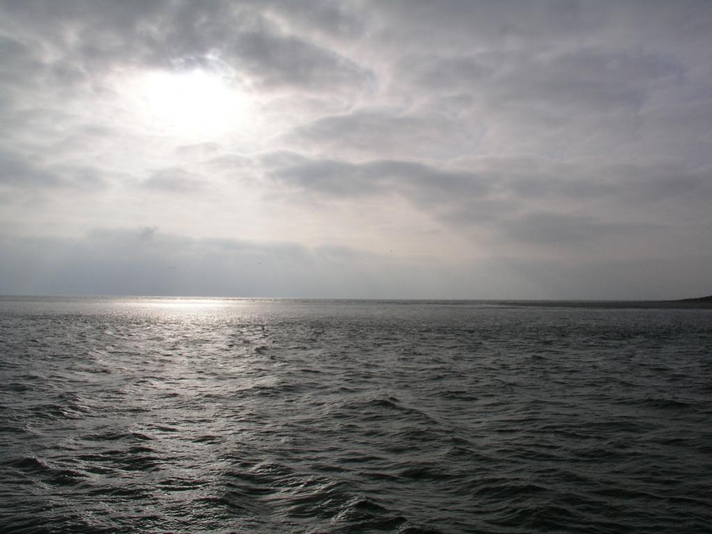 Sylt2004 (78) 2
