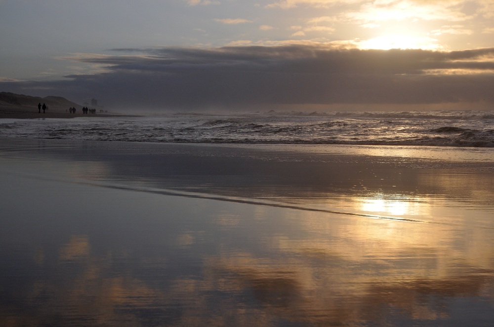 Sylt3