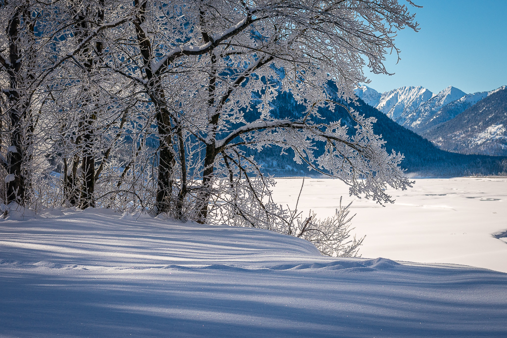 Sylvensteinsee Winter