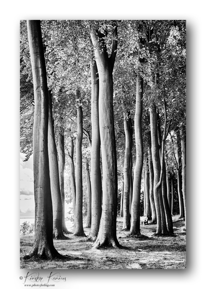 Tænkebænke B&W