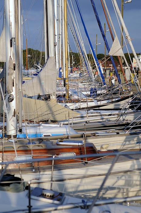 Törn77