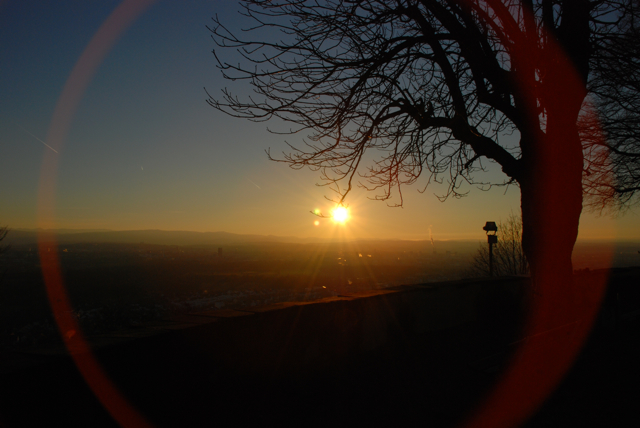 Tüllinger Hügel Jan 07 019