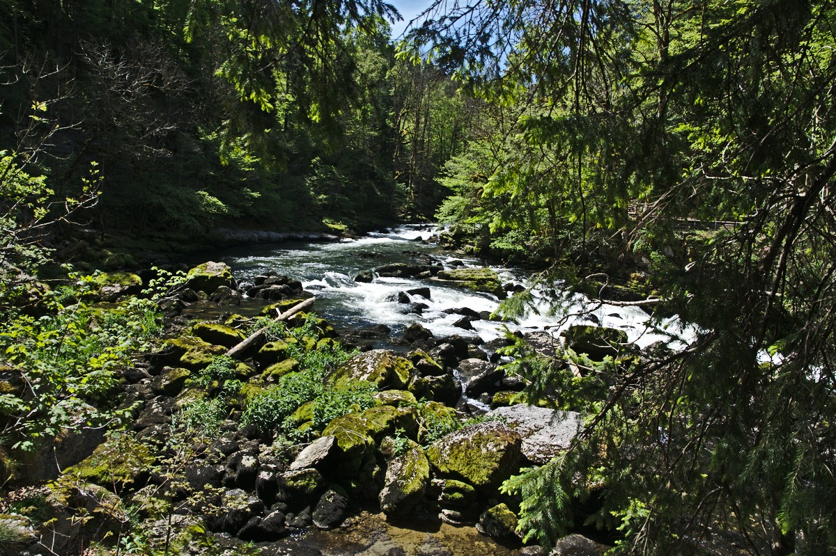 t d jura0596