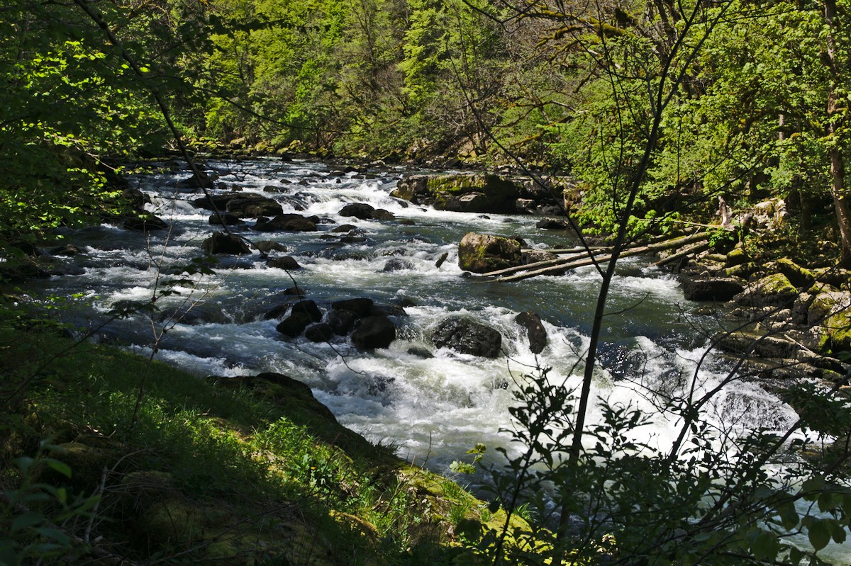 t d jura0600