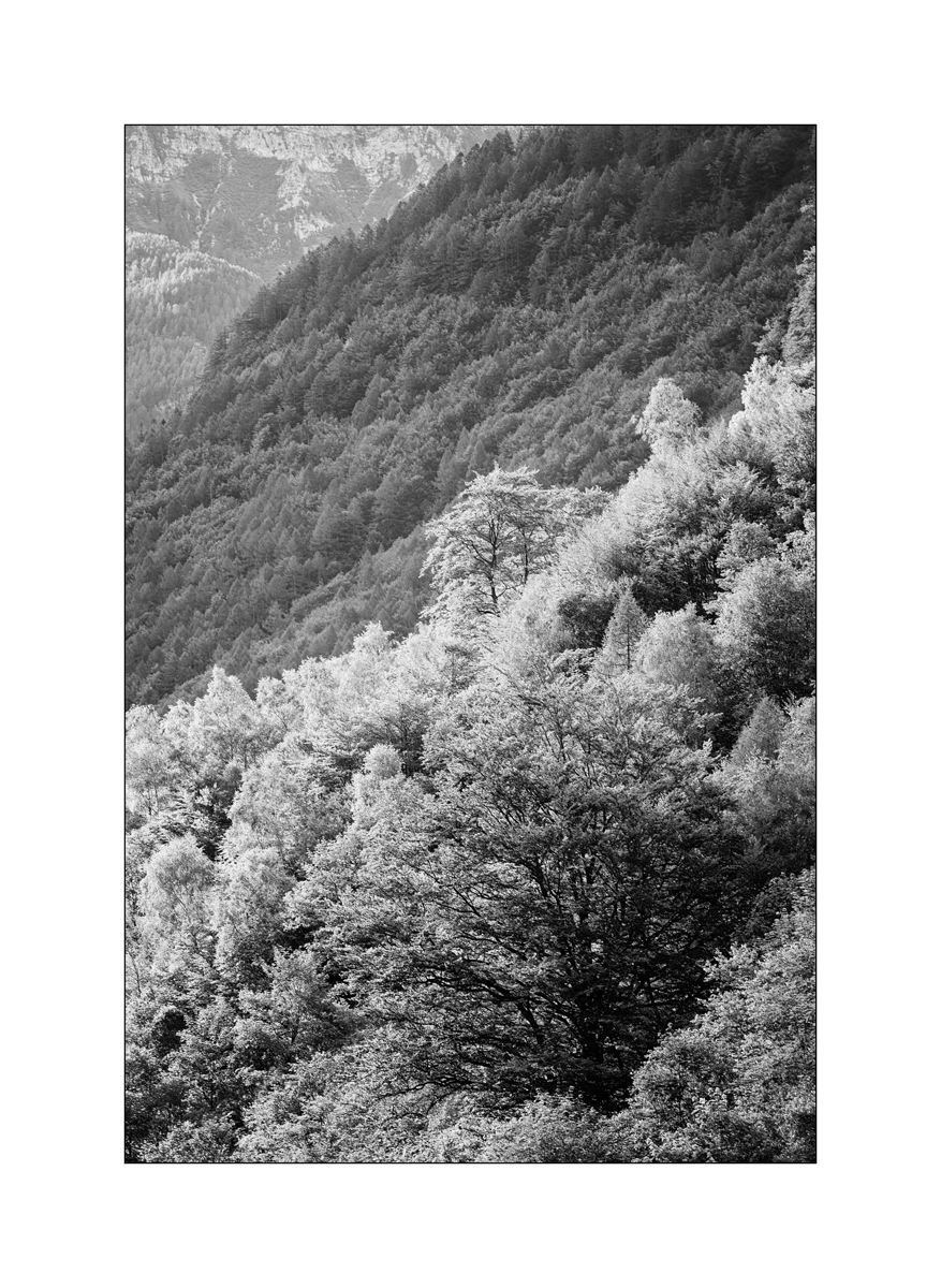 T19D4F_0878.jpg