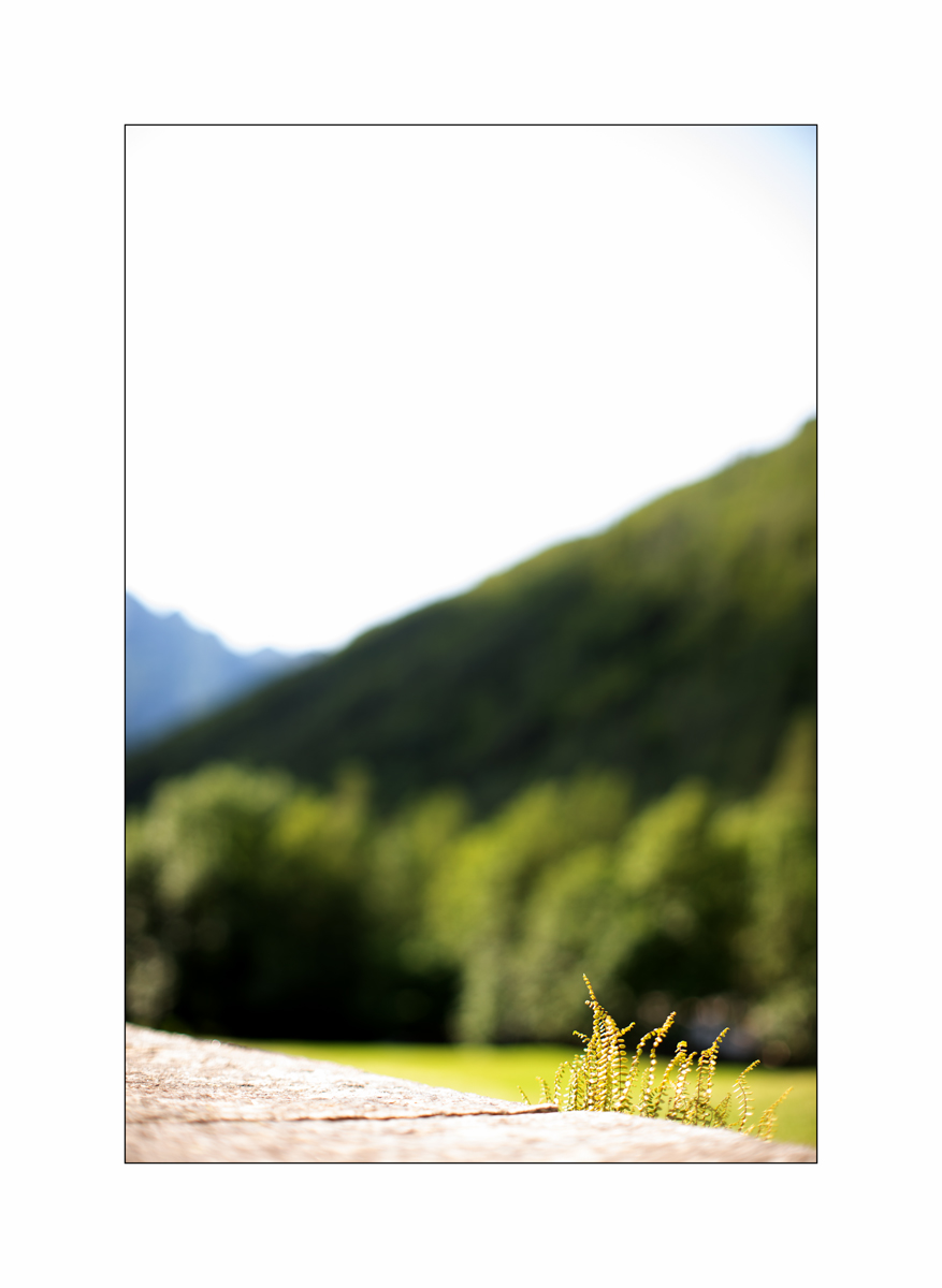 T19D4F_0906.jpg