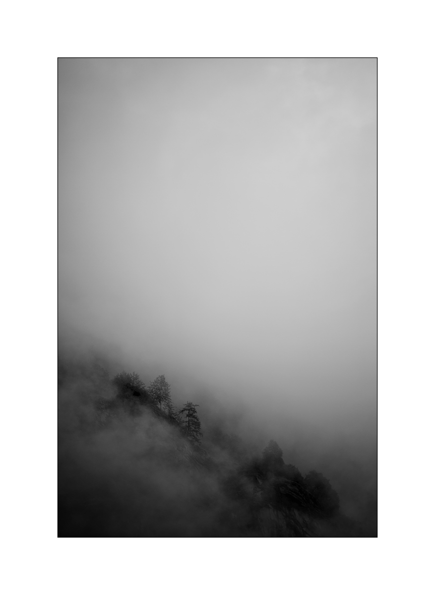 T19D4F_1002.jpg