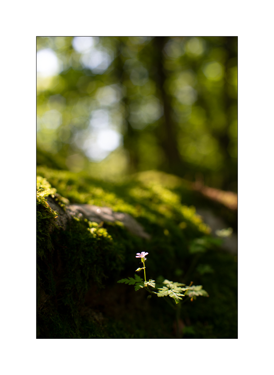 T19D4F_1059.jpg