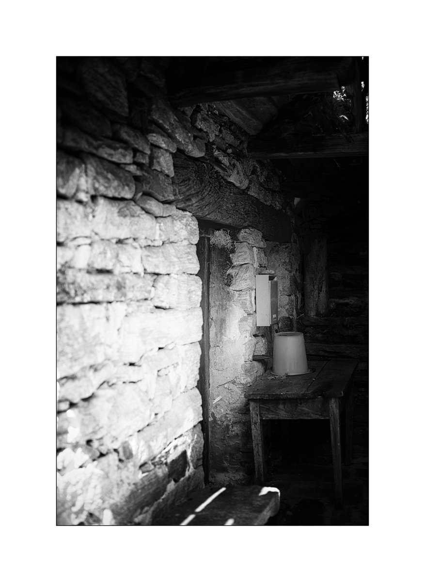 T19D4F_1214.jpg
