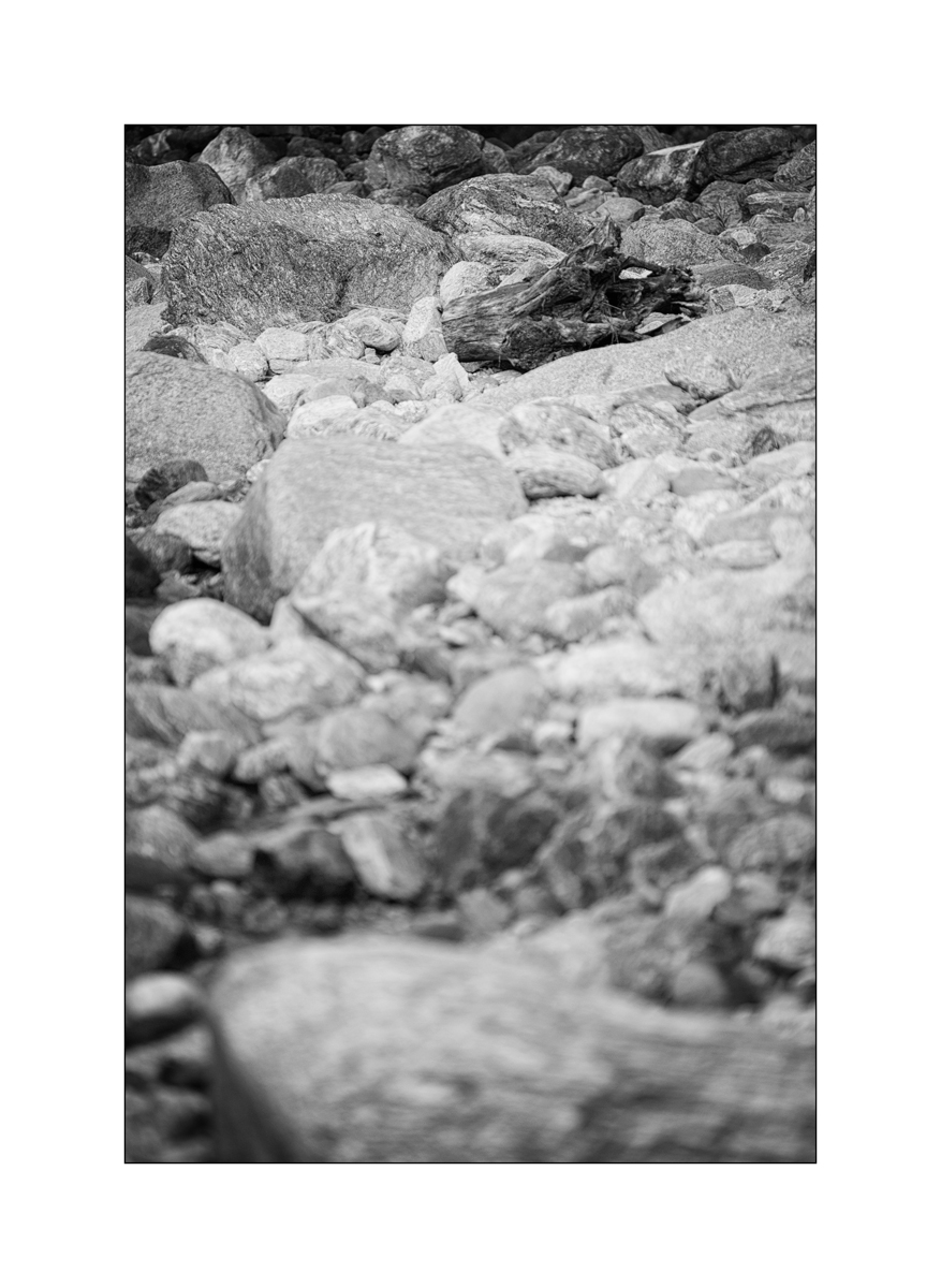 T19D4F_1384.jpg