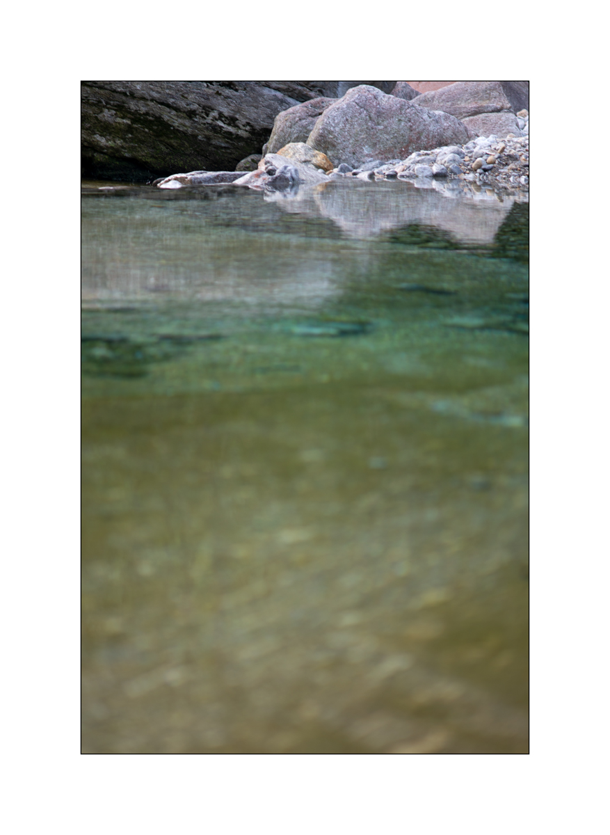 T19D4F_1393.jpg