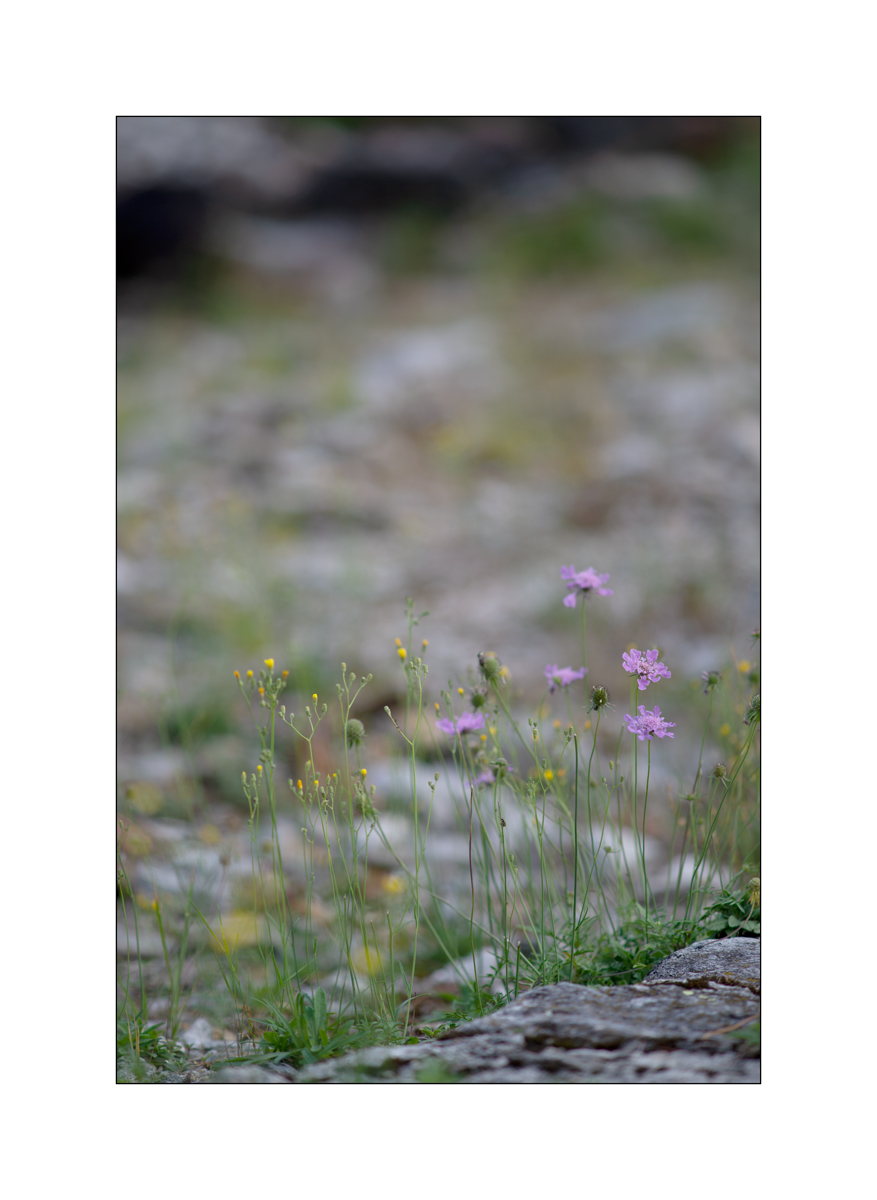 T19D4F_1396.jpg