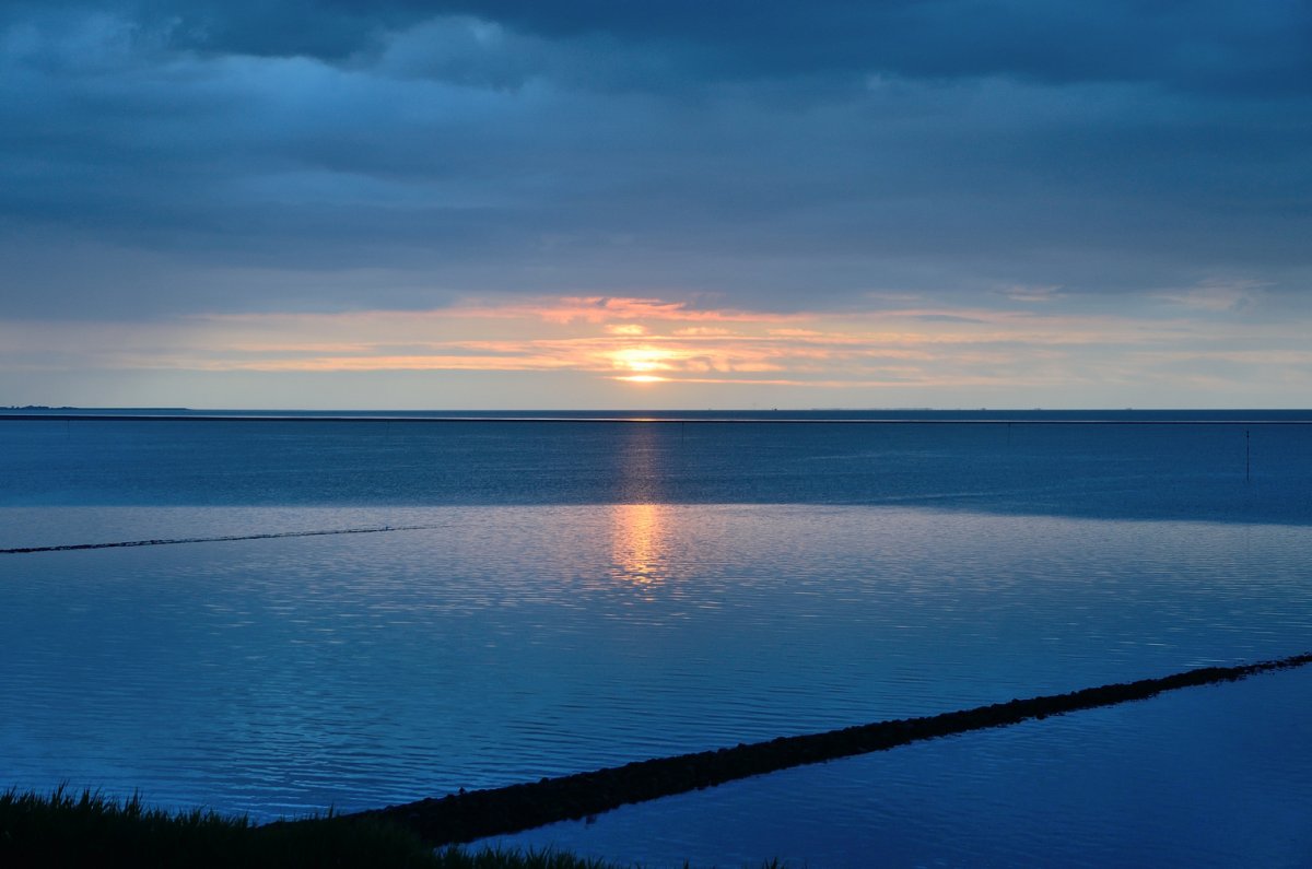 t_nordstrand0612_142.jpg